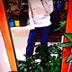 shogo owadaのアイコン