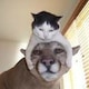ベルのアイコン