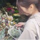 れたすのアイコン