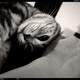Enochのアイコン