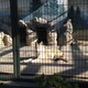 かこごんのアイコン