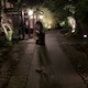 mameのアイコン