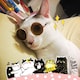 Amy Hungのアイコン