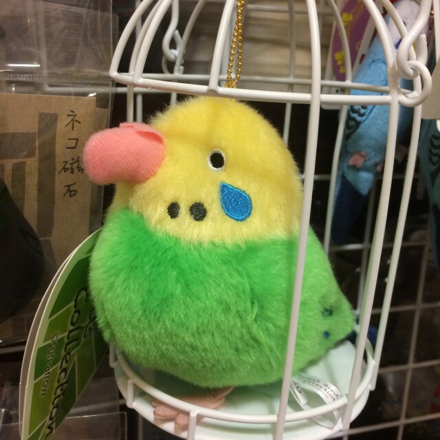 piyo