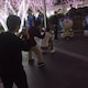 はるたのアイコン