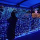 ユキウサギのアイコン
