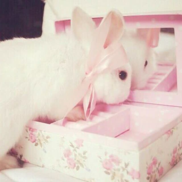 みにゃん