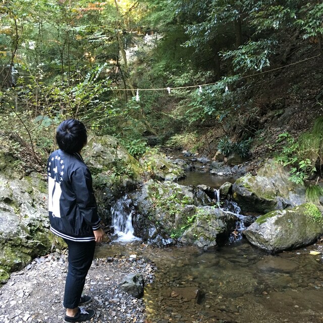 たか