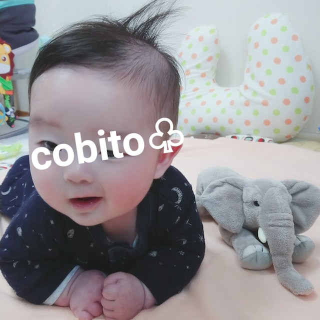 cobito_chan𓃟ﻌﻌﻌ❤︎