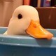 倪森森林のアイコン