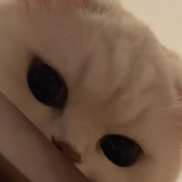 sikna@@