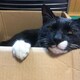 kaneleのアイコン