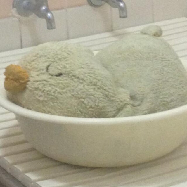 ぴろ