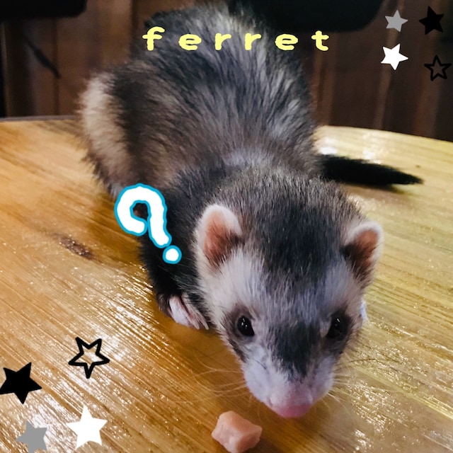 わっしー(>ω<)
