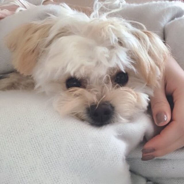 Darwin