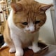 ﾓﾐのアイコン