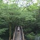しんのアイコン