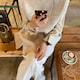 mのアイコン