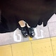 serikaのアイコン