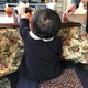 YUZUのアイコン