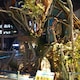 ひーのアイコン