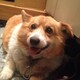 こーじちゅうのアイコン