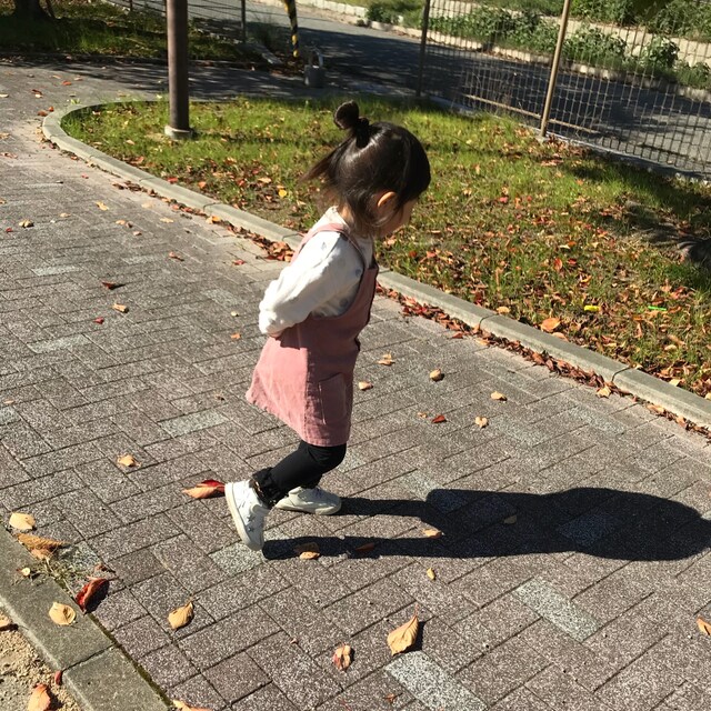 zizi