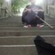 わたなべ　たいじのアイコン