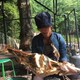 かりーのアイコン