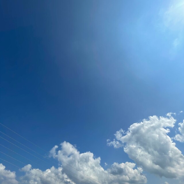 ノノ