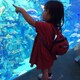 もちぶたのアイコン