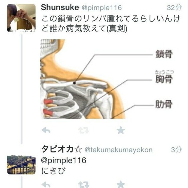 shunsuke