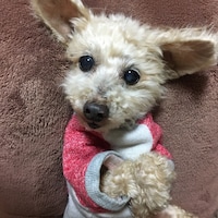 りーさのコーディネート一覧 Wear