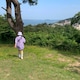 🦋のアイコン