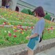 晴奈のアイコン