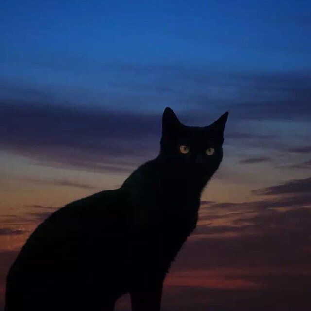 oldomato