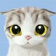 chen101584のアイコン