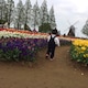ななのアイコン