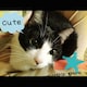 ぼん☆のアイコン