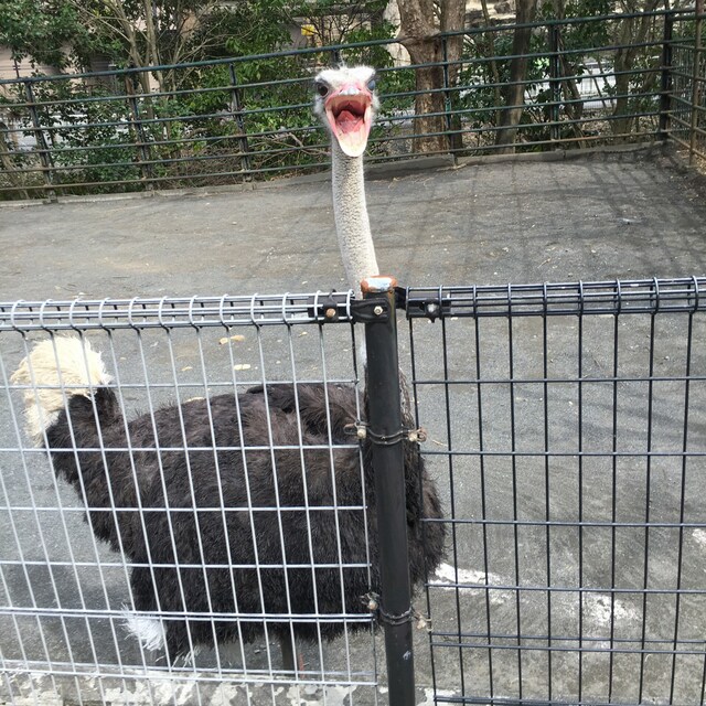 たくちん
