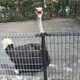 たくちんのアイコン