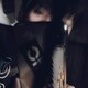 玲生のアイコン