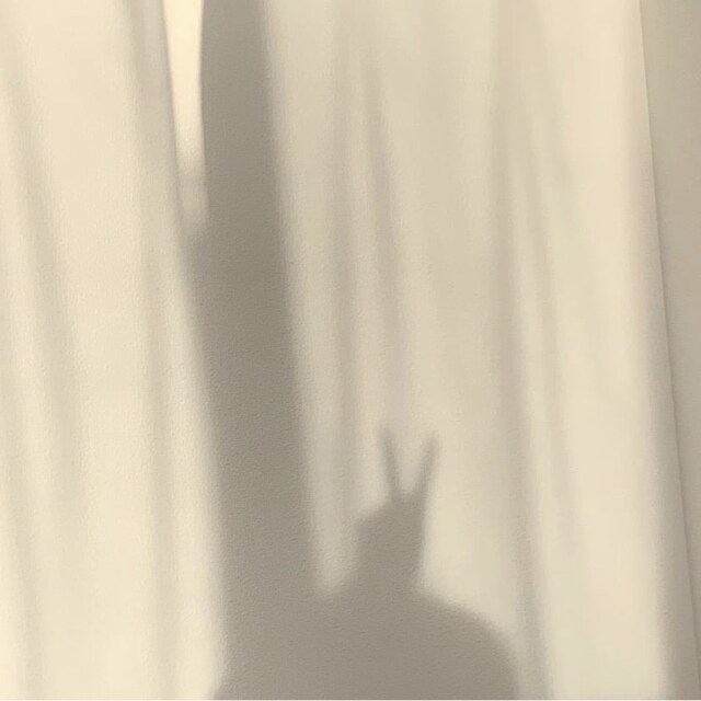🍏