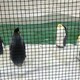 もっさんのアイコン