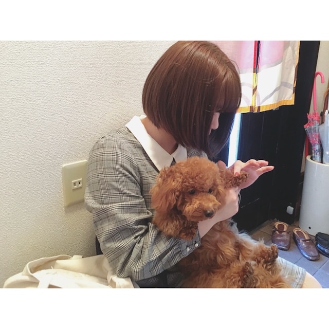 いちご