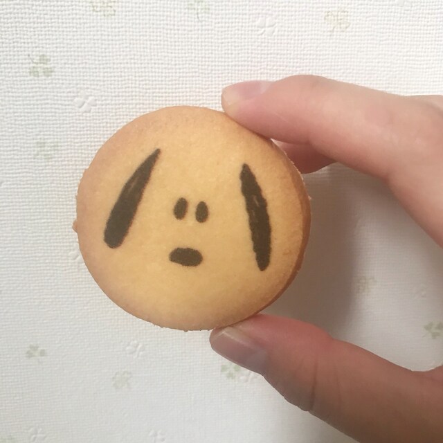 あゆみ