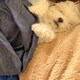 まーこのアイコン