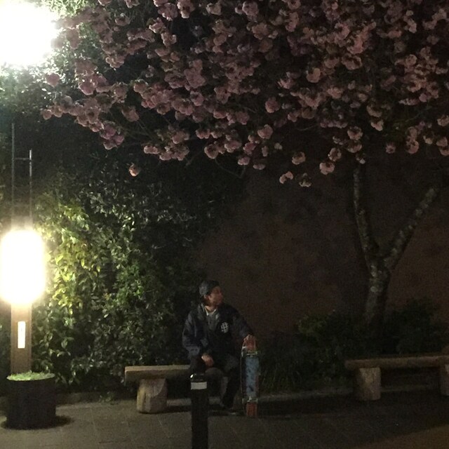 はるじお