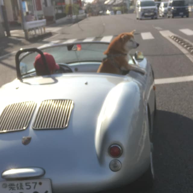 かきくけんたろー