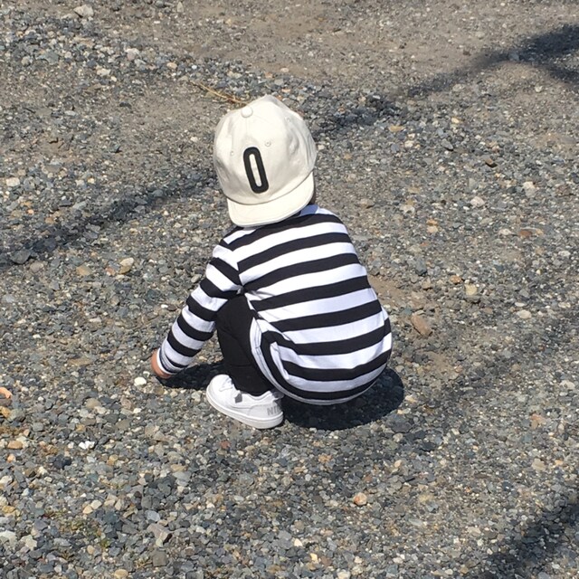はやとん
